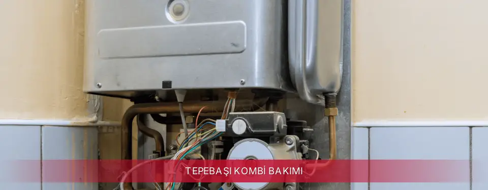 Tepebaşı İlçemi İmmergas Kombi Bakımı